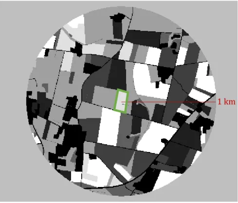 Figure 3 : Exemple de caractérisation du paysage environnant dans un rayon de 1 km autour d’une  parcelle d'étude de mélange céréalier (en vert)