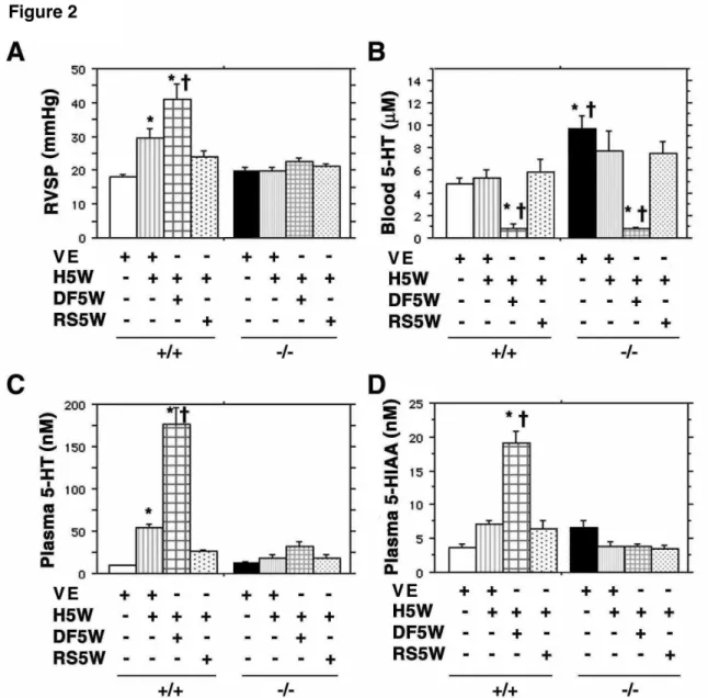 Figure 2- Hypoxia-dependent increase in plasma serotonin levels is 5-HT 2B R-controlled- In 
