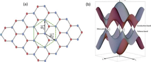 Figure 1. 3 (a) Graphene lattice representation: the two inequivalent atoms of the unit cell are highlighted  with blue and red colors