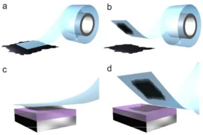 Figure 1. 7 Micromechanical exfoliation of 2D crystals. (a) Adhesive tape is pressed against a 2D crystal  so that the top few layers are attached to the tape (b)