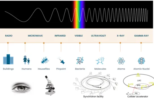 Figure 1.2: The electromagnetic spectrum comparing the size of objects that can be studied with various techniques