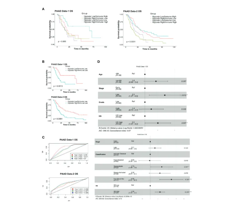 FIGURE 5 | Prognostic and predictive efﬁciency of a combined hypoxia and immune classiﬁcation in pancreatic cancer: (A) Kaplan-Meier survival plots with log-rank test, comparing the groups divided based on both hypoxia score and immune score