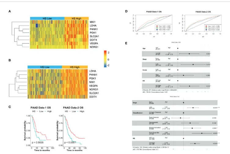 FIGURE 2 | Prognostic and predictive value of hypoxia signature in pancreatic cancer: Heatmaps of the expression levels of the eight genes in the signature in hypoxia score (HS) high (in orange) and HS low (in blue) tumors in PAAD Data-1 (A) and PAAD Data-