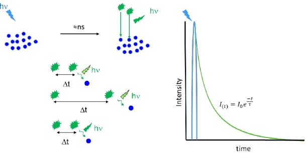 Fig 22. Schéma d’illustration de la durée de vie de fluorescence. 