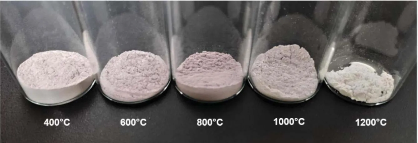 Figure 2.4  :  Poudres de phosphates de calcium dopées à l’or et les différents traitements  thermiques ; 25Au-T