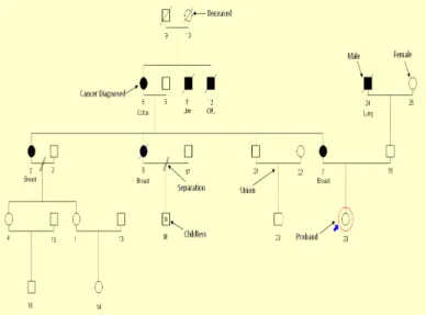 Figure 1. Example of a simple pedigree (males are represented by  a square and females by a circle