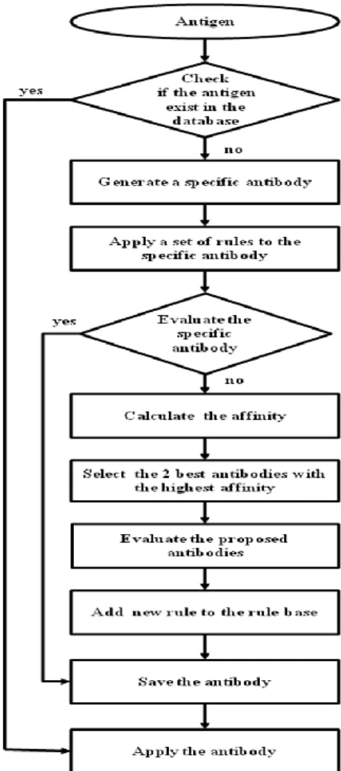 Figure 8: Diagram of the proposed algorithm  When  an  antigen  is  introduced  into  the  system,  the  system performs the following steps: 