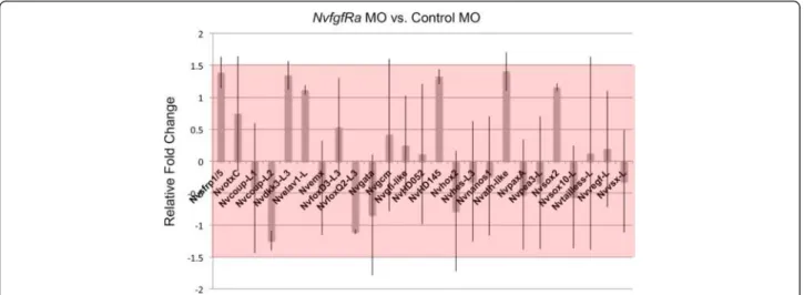 Fig. 7 NvfgfRa does not regulate U0126-dependent salt-and-pepper gene expression. Relative fold change calculated from quantitative polymerase chain reaction analysis of triplicate injections of the NvfgfRa morpholino (MO) or a control MO is graphed