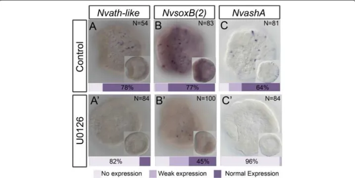 Fig. 3 U0126 treatment results in a global decrease in neurogenic transcription factors
