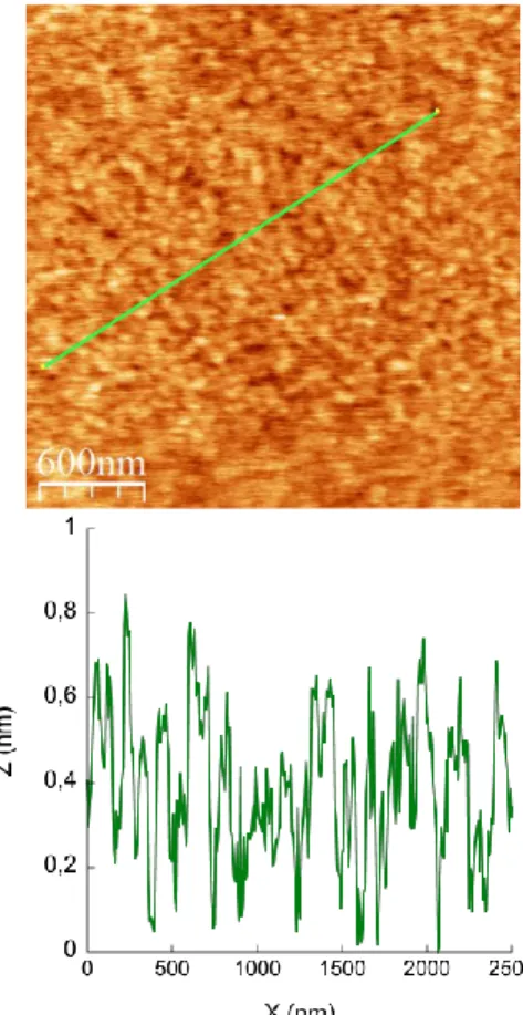 Fig. 1 AFM image (up) and height profile (bottom) of the POMs monolayer after thorough rinsing with acetonitrile