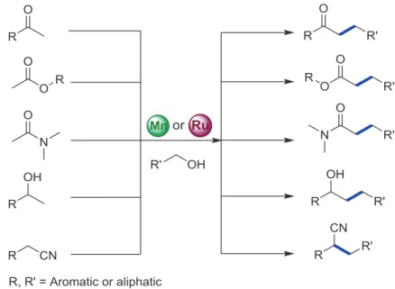 Figure 1.4: Mn(I)-pincer complexes used for the alkylation of ketones. 