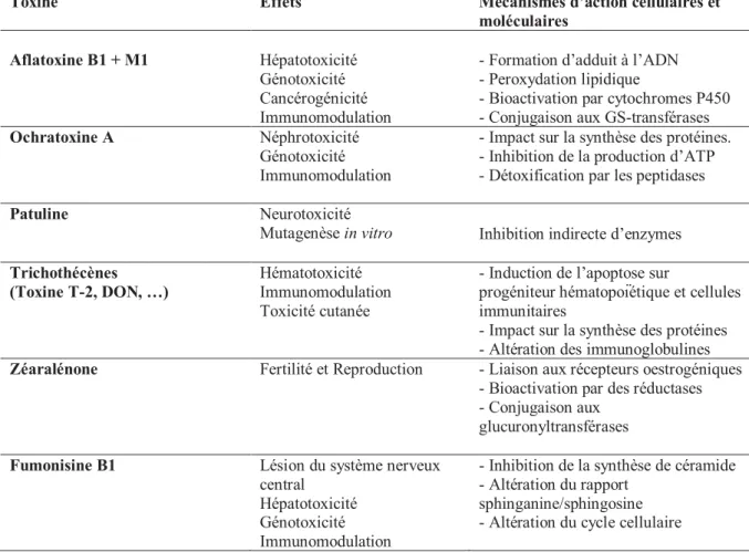 Tableau  3.  Effets  des  principales  mycotoxines  et  mécanismes  d’action  cellulaires  et  moléculaires identifiés (AFSSA, 2009) 