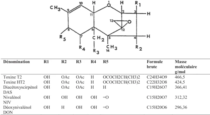 Figure 7. Structure chimique générale des principaux trichothécènes de groupes A et B.