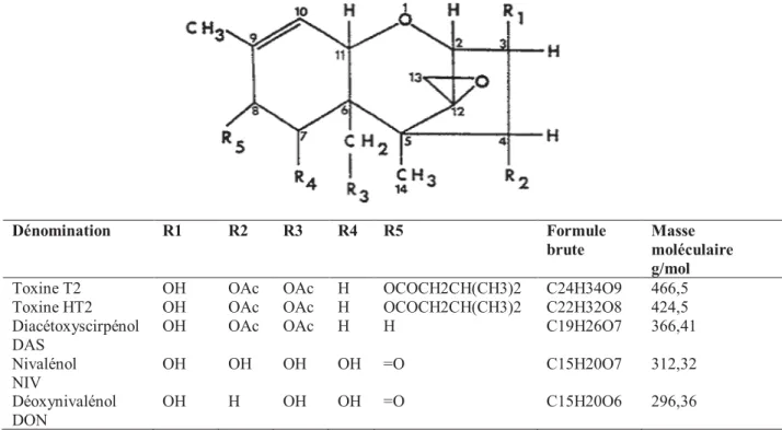 Figure 7. Structure chimique générale des principaux trichothécènes de groupes A et B.