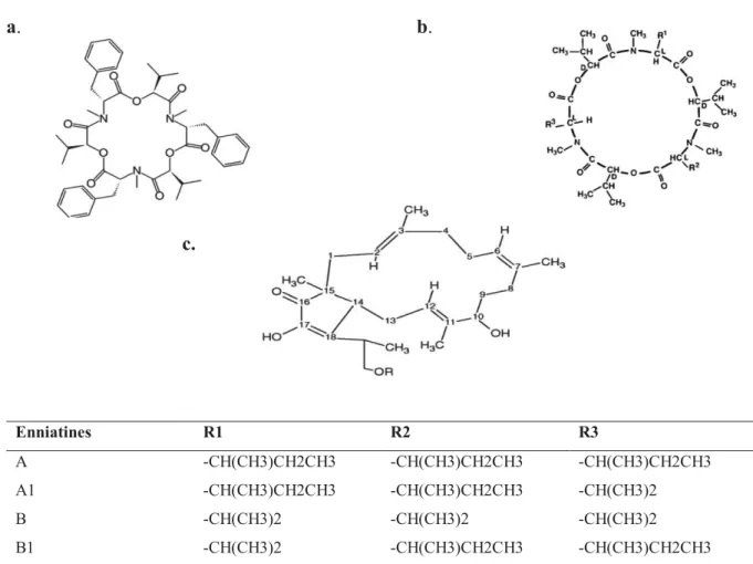 Figure  10.  Structure  chimique  des  mycotoxines  émergentes  de  Fusarium.  a.  Beauvericine  (BEA) ; b