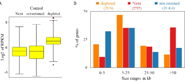 Figure 1.6. Analysis of expression level and size of the three subgroups of genes: depleted, Next and  non-retained