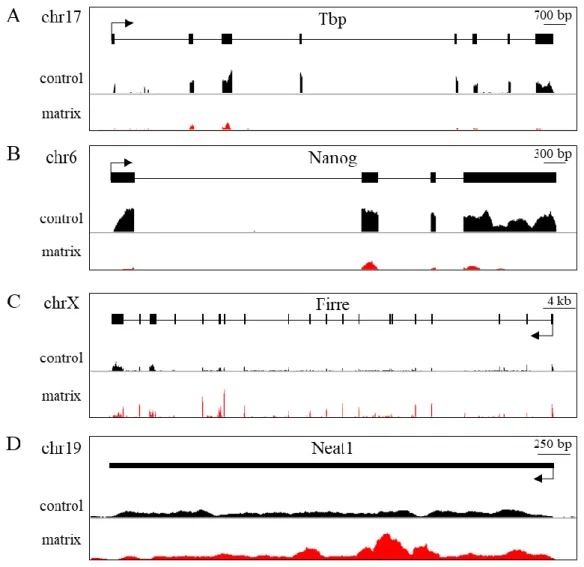 Figure 1.7. Screenshots of IGV browser showing RNA-seq coverage in control (black) and matrix (red)  samples