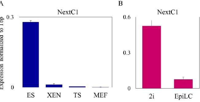 Figure 2.7. NextC1 in different embryonic cell types. A) NextC1 is expressed in Embryonic Stem cells  (ES) (n=3) cultured in serum-containg medium but not in extraembryonic endoderm stem cells (XEN)  (n=2), trophoblast stem cells (TS) (n=5) or mouse embryo