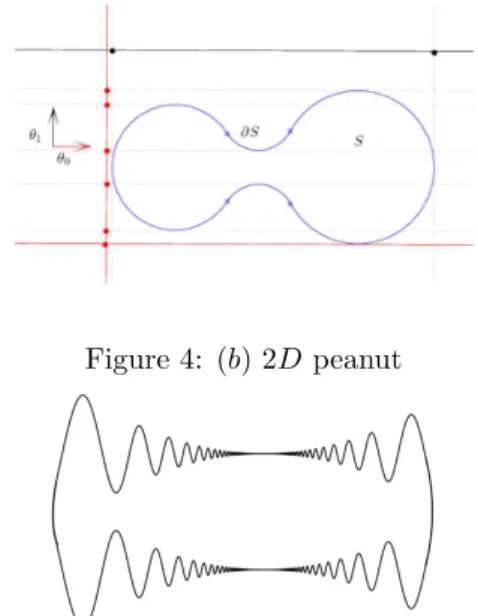 Figure 5: (c) 3D peanut Figure 6: (d) an ‘infinite wave’ shape