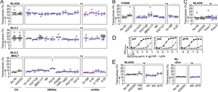 FIG 2 HIV-1 virions in the presence of anti-gp160 antibodies transcytose across the BBB