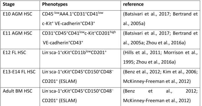 Table 1: Canonical markers for murine hematopoietic stem cells at different developmental stages. 