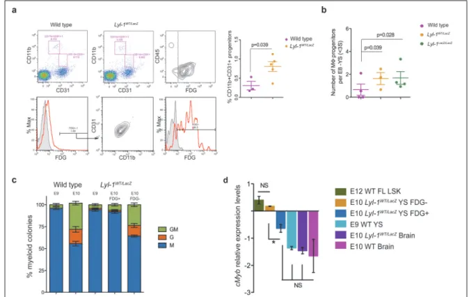 Figure 2: Lyl‐1 expression discriminates M Prim  progenitors from EMP‐derived M T‐Def  progenitors. 