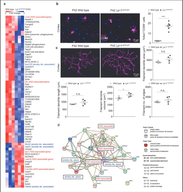 Figure 5: Lyl‐1 deficiency alters transcriptomic profile and activation status of microglia in the adult  brain. 