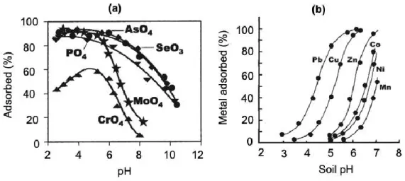 Figure 1.26 – Heavy metal adsorbed by iron hydroxide as a function of pH (a) Anionic heavy metals, and (b) cationic heavy  metals