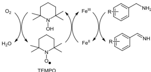 Figure 5 Yields of representative 2-substituted benzimidazoles  synthesized through FeBr 2 -mediated oxidative cross-coupling 24