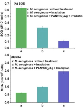 Figure 5. The superoxide dismutase (SOD) activity (A) and (B) malondialdehyde (MDA) content of  algae in different systems