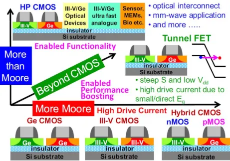 Figure 1.18 shows these options currently being researched: for both More Moore as well as More than Moore approaches.