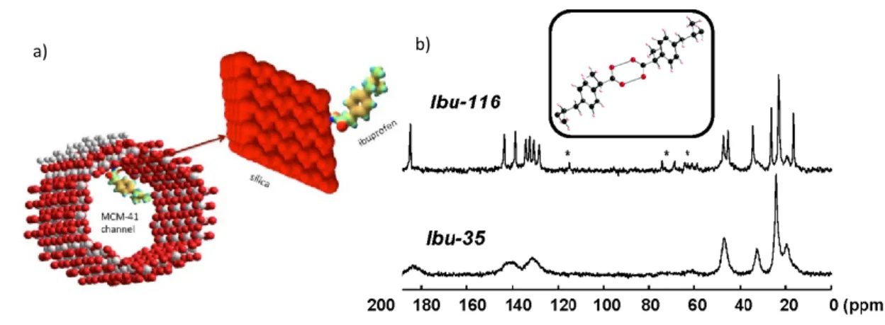 Figure 3.10: a) Adsorption of a molecule of ibuprofen within the MCM-41 channels; b)  13 C CPMAS NMR spectra of Ibu- Ibu-116 (a) and Ibu-35 (b)