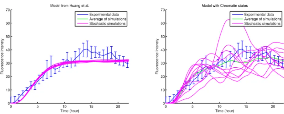 Fig. 2. Comparison of the stochastic noise between the basic model (left) and the model with chromatin states (right).
