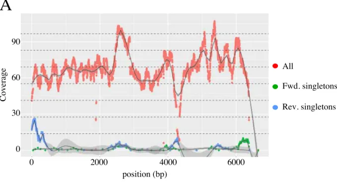 Figure II.4: T-DNA insertions in DRB27.  A) Coverage of the T-DNA sequence with the reads  of  DRB27  (red  dots)