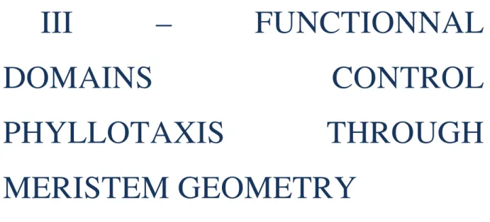 Figure  0.1).  In  this  section,  I  will  review  the  current  knowledge  on  the  genetic  control  of  shoot meristem patterning, with a special focus on the possible impact on phyllotaxis (Figure  0.4)