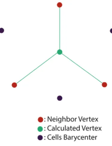 Figure 4.1: Oscillatory Model Set Up. The distance from the central vertex (light green) to the xed vertices (red, position provided by biological data) is approximated by the equation (4.1).