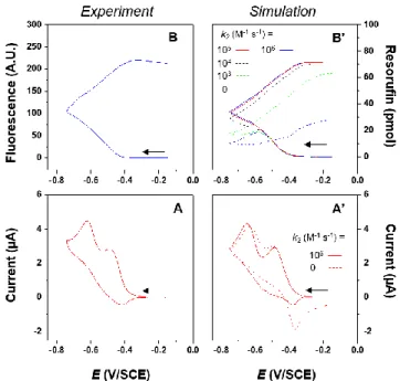 Figure 2. (A) Experimental cyclic voltammogram (CV) of 1 mM  resazurin at a 1 mm diameter platinum working electrode, and (B)  simultaneously  recorded  voltfluorogram  (CVF)