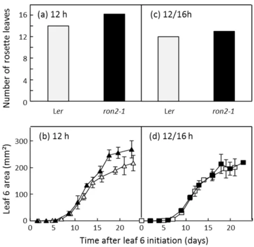 Figure I-2. Final number of rosette leaves of Ler (light grey) and ron2-1 (black) plants grown under a  constant day length of 12h (a) or transferred from 12 to 16 h after 15 days following leaf initiation (c)