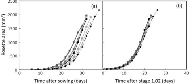 Figure I-3. Dynamics of whole rosette area over time expressed either as days after sowing (a) or days  after stage  1.02 (b),  i.e