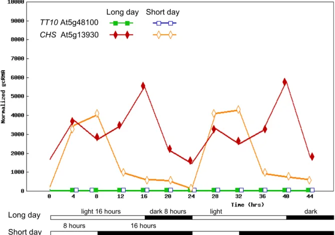 Figure 2.4: Comparison of TT10 and CHS expression visualized with DIURNAL.