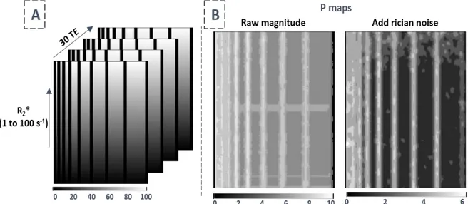 Figure 2.4 – Étude de la cartographie de P à partir de la simulation d’une décroissance  R2*