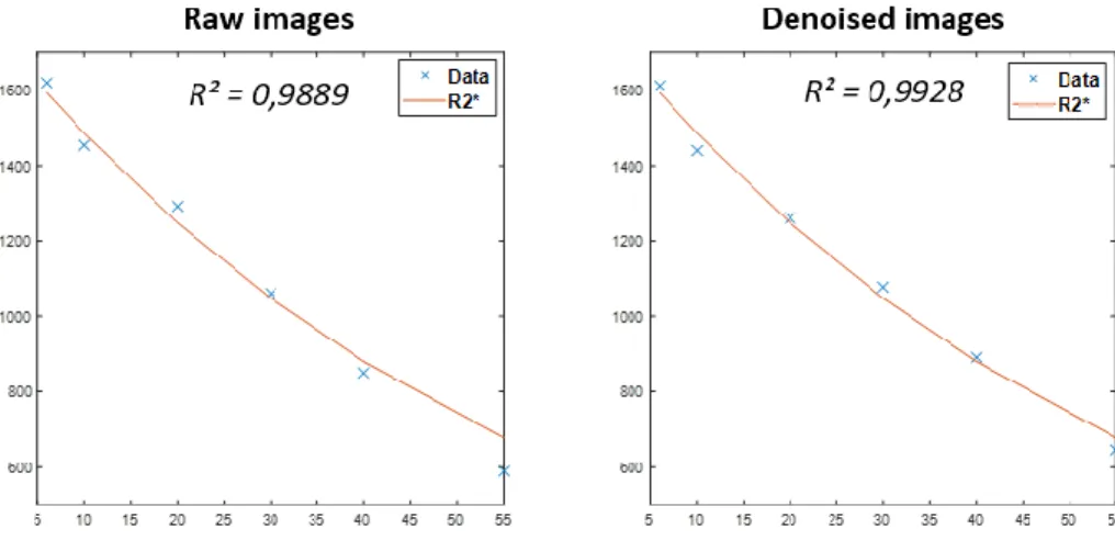 Figure 2.8 – Impact du bruit sur la décroissance du signal séquence écho de gradient. 