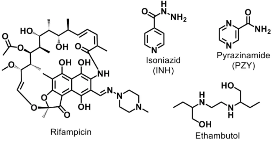 Figure 12.  First-line antitubercular drugs. 