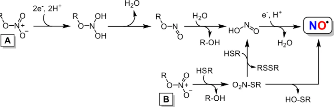 Figure 17.  Structures of some NONOates derivatives molecules. 