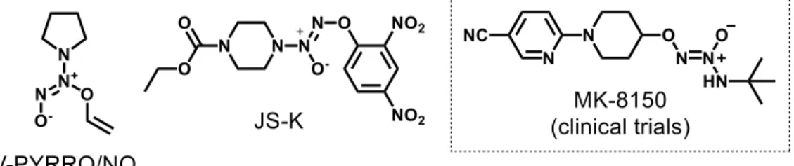 Figure 19.  Structure of some  S -Nitrosothiols (RSNOs).  