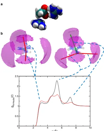 Figure 4: a) Snapshot from the molecular dynamics simulation illustrating the two possible interaction modes of acetate with guanidinium