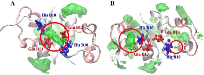 Figure 4. Spatial distribution maps of arginine around the insulin dimer obtained from simulations  performed at low ionic strength (system II) and at high ionic strength (system III) are depicted on  panels A and B, respectively