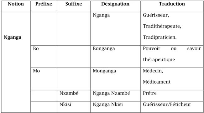 Tableau n°4 : Les connotations du mot nganga 