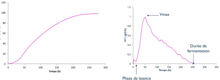 Figure 10: Paramètres cinétiques mesurés au cours de la fermentation alcoolique 