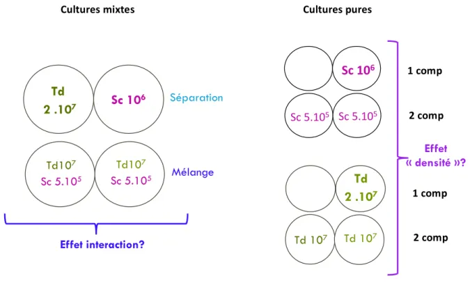 Figure 11: Différentes modalités testées lors des fermentations en fermenteur double  compartiment 